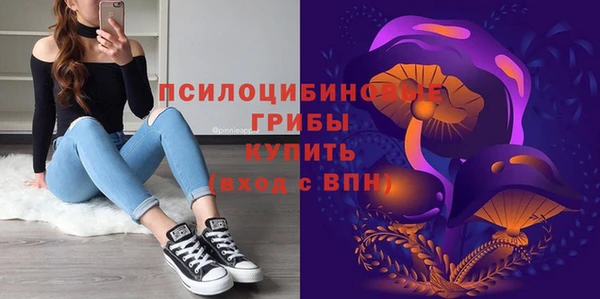 прущие крисы Алексеевка
