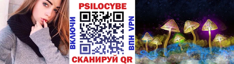 продажа наркотиков  Любань  мега ONION  Псилоцибиновые грибы Psilocybine cubensis 