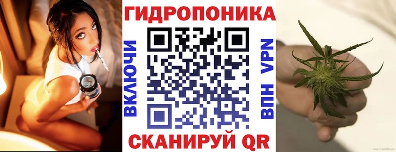 закладка  Любань  ОМГ ОМГ маркетплейс  Марихуана сатива 